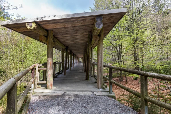 Visualizzazione passerella in legno per osservazione animali, Baviera, Germania. Ponte in legno con tetto nella foresta . — Foto Stock