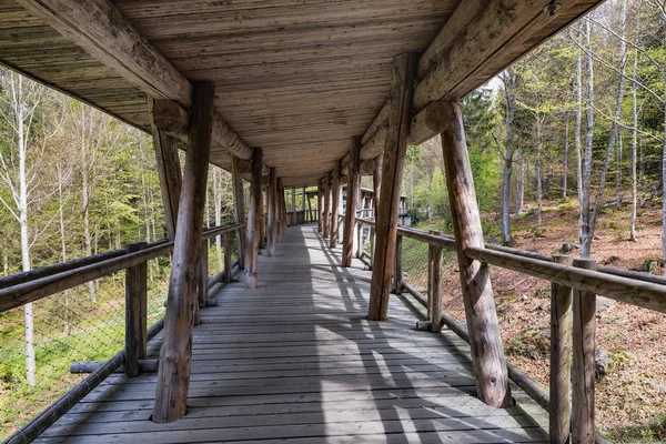 Visualizzazione passerella in legno per osservazione animali, Baviera, Germania. Ponte in legno con tetto nella foresta . — Foto Stock