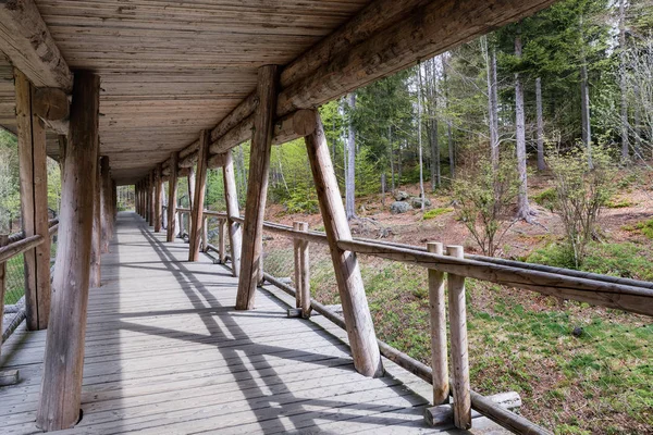 Visualizzazione passerella in legno per osservazione animali, Baviera, Germania. Ponte in legno con tetto nella foresta . — Foto Stock