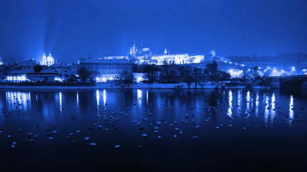 冬天布拉格城堡，圣维特大教堂。捷克共和国 — 图库照片