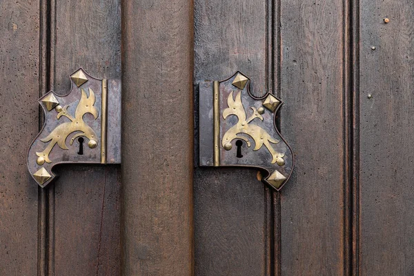 Large wooden door with wrought-iron elements. Decorative door with fittings. — Stock Photo, Image