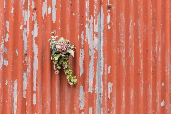 Hoja corrugada, chapa, laca vieja, agrietada — Foto de Stock