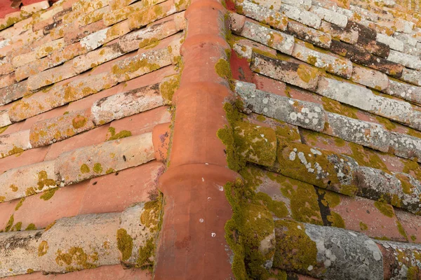 An old roof made of brick covered with moss — Stock Photo, Image