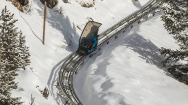 Dolomites ormanında kış kızak pisti. İki erkek at binme