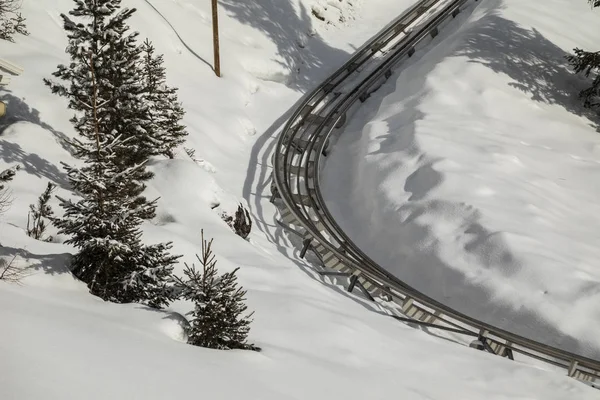 Pista da bob invernale nel bosco delle Dolomiti. Due ragazzi a cavallo di una bob seduti su un camion blu — Foto Stock