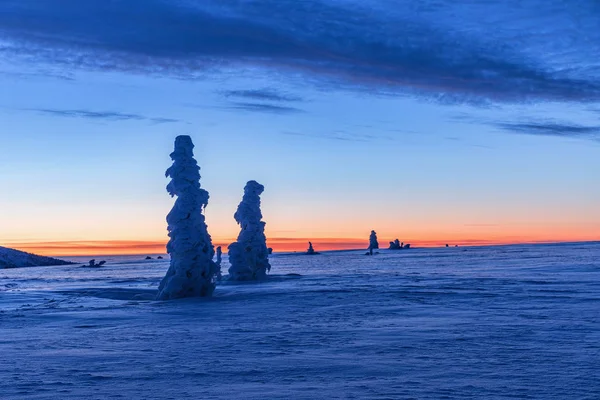 Paisaje invernal en las crestas de Krkonose, frente a la salida del sol, bellamente pintado en tonos de color azul. Concepto de viaje . —  Fotos de Stock