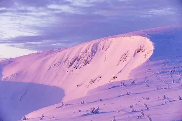 Obri Dul 山谷在 Krkonoce 山的冬天。捷克共和国, Morming 从小径到 Snezka 山山顶的景色 — 图库照片