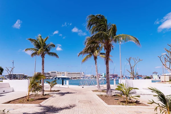 Modrá Marina na Varadero, Kuba — Stock fotografie