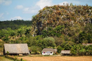 Mogotes ile Vinales vadi Panorama
