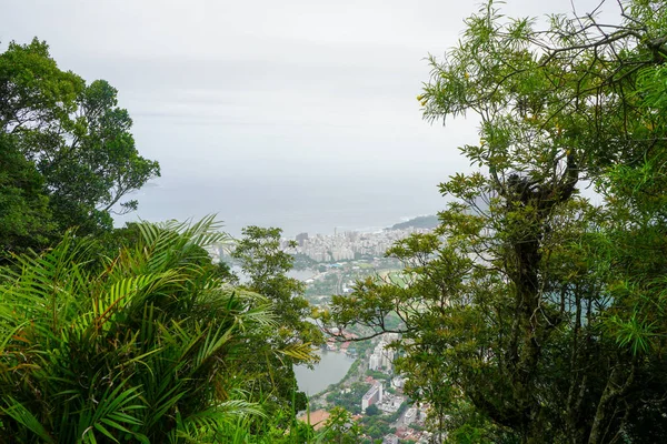 Brazílie je velmi krásná země v Jižní Americe — Stock fotografie
