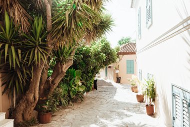 Atina 'nın Akropolis yakınlarındaki sokak ve palmiye ağaçları. Yunanistan, Ağustos 2019