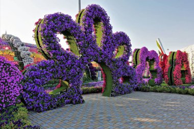 Dubai Çiçek Bahçesi Büyük Yaprakları pembe, mor, kırmızı kemer şeklinde. Taze çiçeklerden yapılmış..                            
