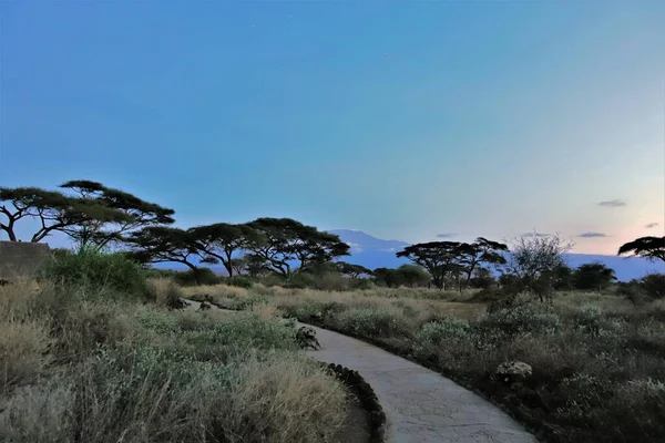 Kenia Goedenavond Het Pad Gaat Door Het Gras Naar Huizen — Stockfoto