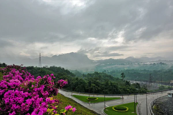 A sad rainy day in Thailand. Wet asphalt. Far in the fog the outlines of the mountains. Gloomy clouds. Only bright pink flowers give joy.