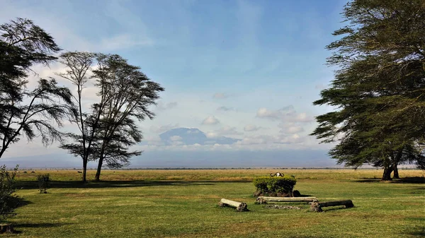 Lugar Para Los Sueños Glade Parque Amboseli Está Cubierto Hierba — Foto de Stock