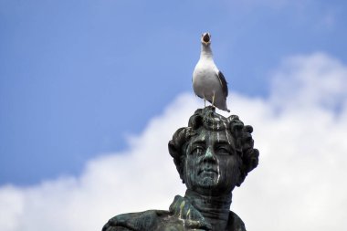 Kafasında martı çığlığı olan heykel.