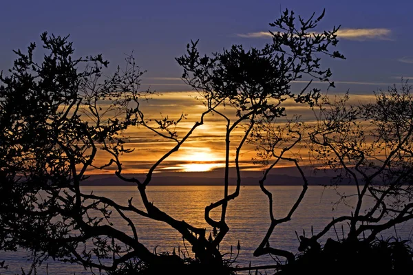 Pôr do sol no parque em Laguna Beach, Califórnia — Fotografia de Stock