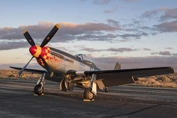 Airplane P-51 Mustang WWII fighter war bird — Stock Photo, Image