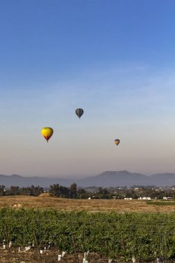 Sıcak Hava Balon Festivali sırasında California üzüm bağlarına uçan balonlar