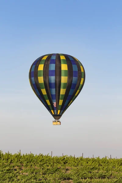 Montgolfières volant au-dessus des vignobles de raisin de Californie pendant le festival de montgolfière — Photo