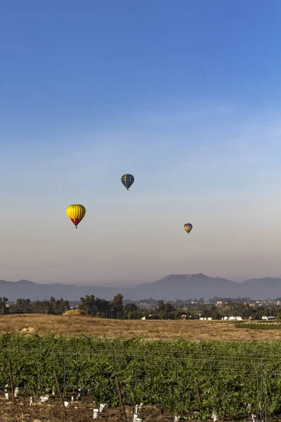 Ballons fliegen während des Heißluftballon-Festivals über kalifornischen Weinbergen — Stockfoto