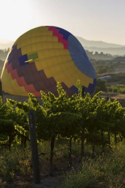 Üzüm bağları ve şarap Kaliforniya'da sıcak hava balon festivalinde üzerinde uçan balon