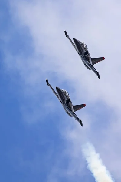 Самолет Patriots Jet Team L-39 Albatross — стоковое фото