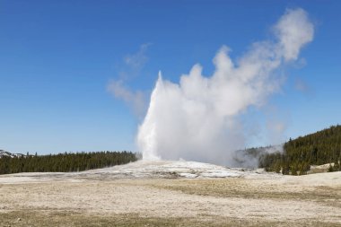 Old faithful Şofben yellowstone Milli Parkı