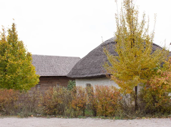 Logement Zaporizhzhya Cosaques Sur Île Khortytsya — Photo