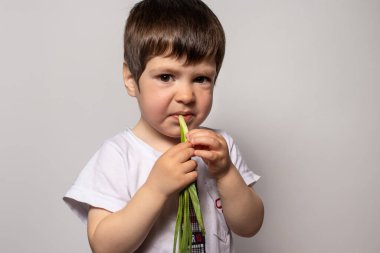 Çocuk taze yeşil soğan yiyor ve kaşlarını çatıyor, zevkine göre kıvırıyor. Beslenme düzeninde çocukların, yeşilliklerin ve sebzelerin düzgün beslenmesi.