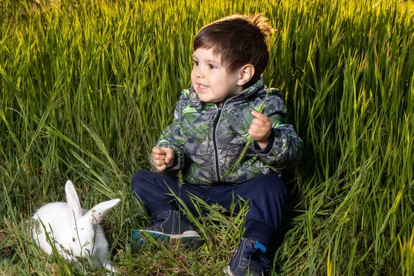 Niño Conejo Pannon White Están Sentados Sobre Hierba Verde Amistad — Foto de Stock