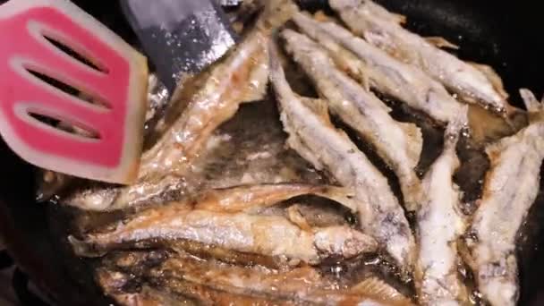 Beredning Stekt Lodda Vegetabilisk Olja Vänder Stekt Fisk Med Skulderblad — Stockvideo