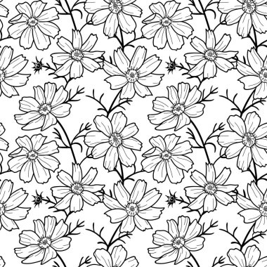 Siyah ve beyaz kozmos çiçekleri mor arkaplanda kusursuz desen