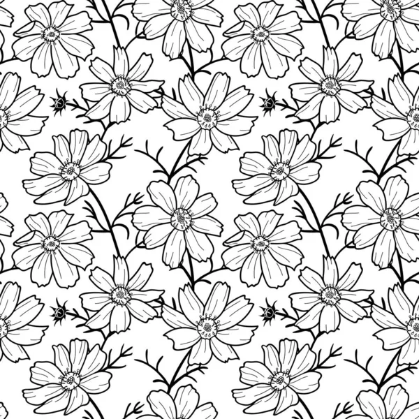 Siyah ve beyaz kozmos çiçekleri mor arkaplanda kusursuz desen