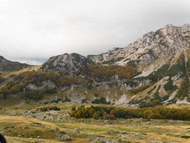 Durmitor Ulusal Parkı 'nın manzarası. Karadağ