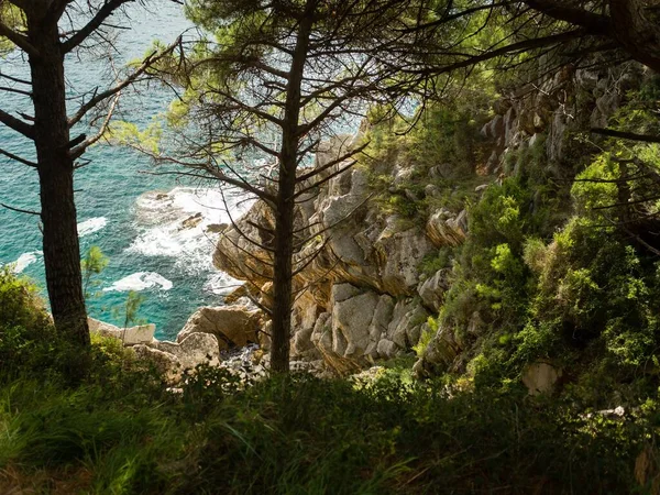 Petrovac Ulusal Pesacka Staza 'daki körfez. Karadağ
