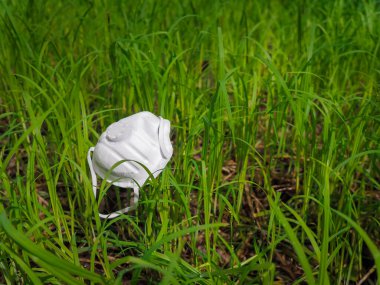Ormandaki çimlerin üzerindeki koruyucu yüz maskesi. Koronavirüs salgını sırasında. sol yönelim