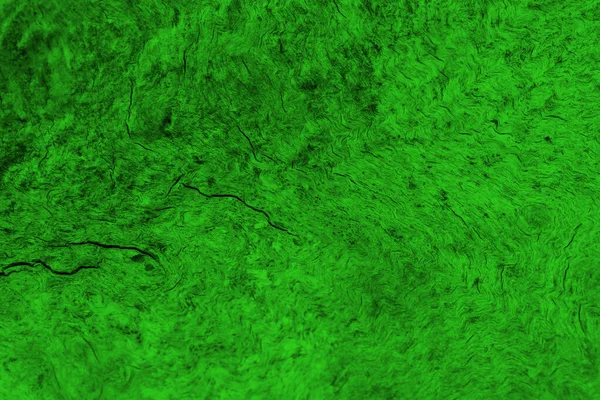 Grönt Trä Bakgrund Suddig Abstrakt Grön Bakgrund — Stockfoto