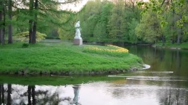 Baharda parkta bir adada heykel. Mayıs ayında St. Petersburg 'da Yelagin Adası Kültür ve Eğlence Parkı' nda lale Festivali. Çiçekli sarı laleler heykelin yanındadır. Ördekler göletin sularında yüzerler..