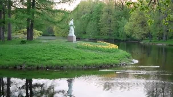 Скульптура Острове Парке Весной Фестиваль Тюльпанов Острове Елагин Парка Культуры — стоковое видео