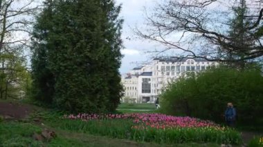 Mayıs 'ta St. Petersburg' daki Yelagin Adası Kültür ve Eğlence Parkı 'nda Lale Festivali.