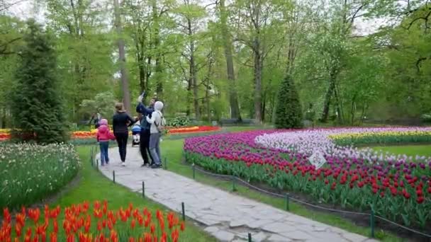 人々は開花チューリップを賞賛しています イーヤギン島のチューリップ祭り文化とレクリエーションの公園 — ストック動画
