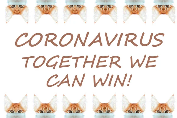 Кіт Масці Рятує Тебе Від Коронавірусу Імбирний Кіт Масці Рятує — стокове фото