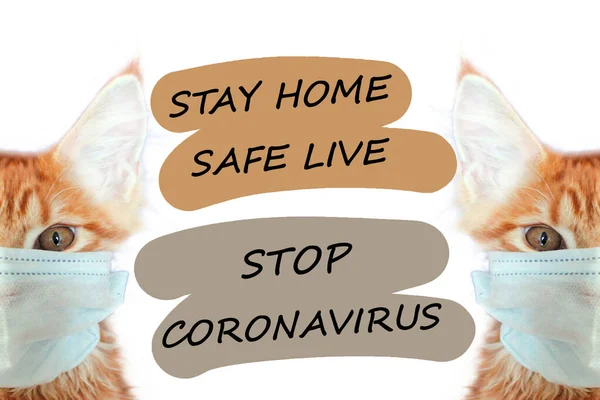 Katt Mask Rädda Dig Katt Rädda Liv Från Coronavirus Ingefära — Stockfoto