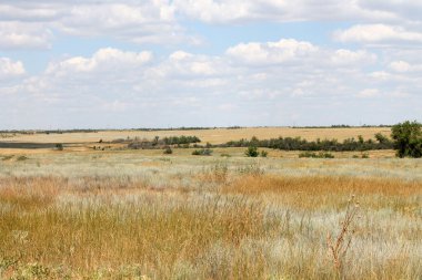 Steppe uzak sarı kuru çimenler ve bulutlarda gökyüzü