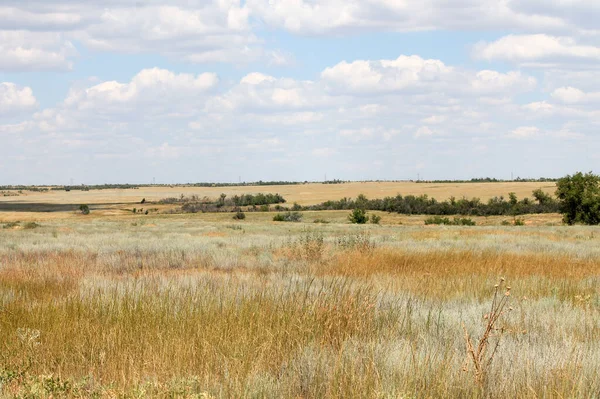 Steppe Distant Yellow Dry Grass Sky Clouds — Stock Photo, Image