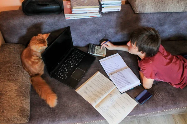 Distance education, study at home and pets, cats and high school students, a school student studies at home using a laptop, computer and the Internet