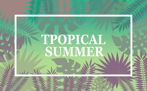 Bandeira Tropical Verão Com Folhas Palmeira Plantas Exóticas Vector Ilustração —  Vetores de Stock