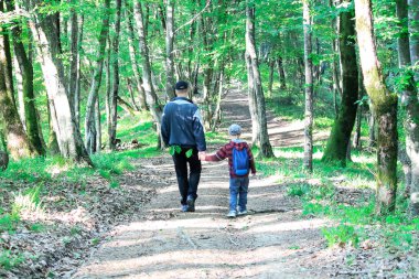 Ormanda yürüyüş yapan çocuklu bir aile. Turistler ormanda seyahat ederler. İzci çocuklar ve babalar güzel ormanı keşfeder. Macera Zamanı.