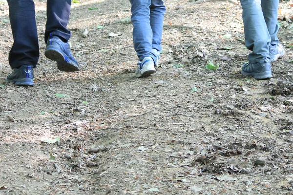 Familia Con Niños Caminando Bosque Los Turistas Viajan Por Bosque — Foto de Stock